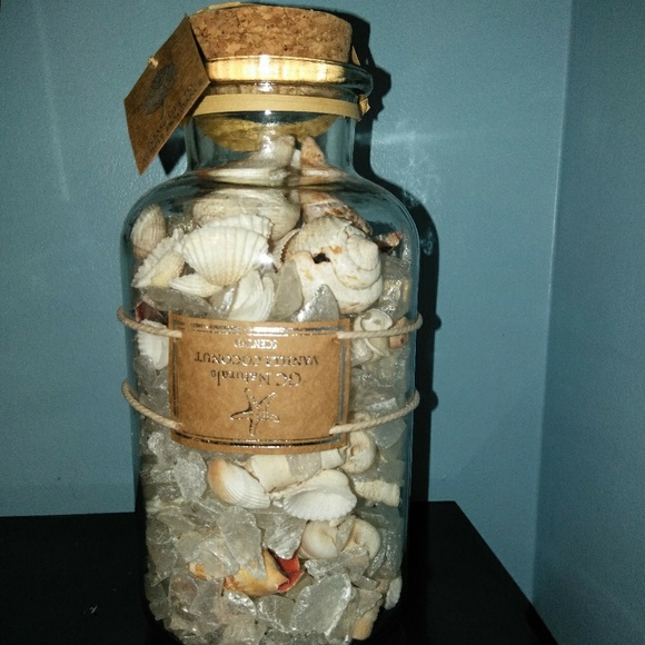 seashells - Picture 1 of 3